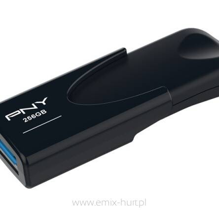 PNY 256GB aTTACHE 3.2